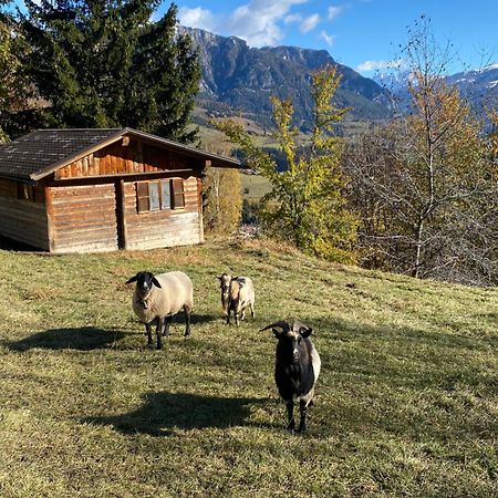 Encia'S Home Dolomiti Castello-Molina di Fiemme Eksteriør billede